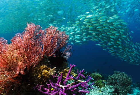 1689602866265117.png image.png