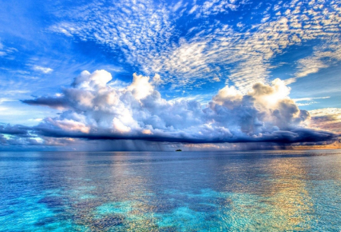 1689603199211046.png image.png