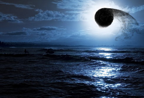 1689614128603019.png image.png