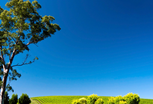 1690279301323581.png image.png