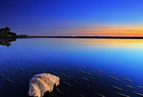 1690279801740808.png image.png