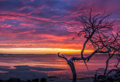 1690279966961416.png image.png