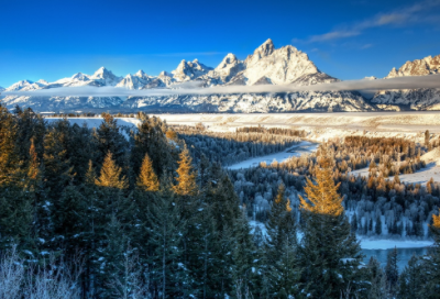 ​阳光幸运好听的网名(优选531个)