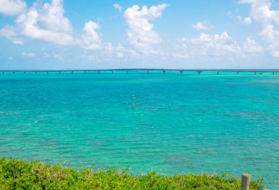 ​带来财运的微信名字(508个)