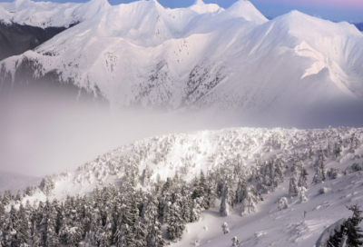 ​最新内涵重口味搞怪网名(精选459个)