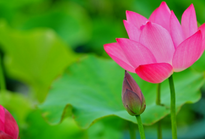 ​吃鸡名字大全两个字的独一无二(共686个)