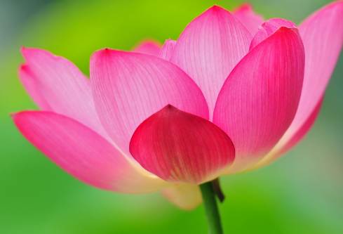 1690285619631158.png image.png