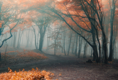 ​骚气内涵吃鸡手游名字(455个)