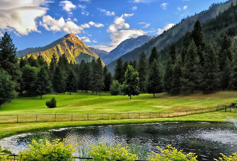 1690286118416109.png image.png