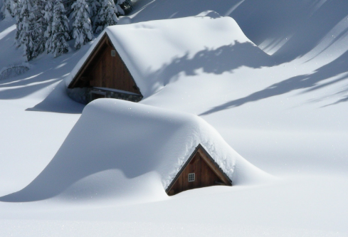 1690286450873186.png image.png