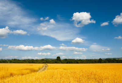 ​软妹超甜网名二字(681个)