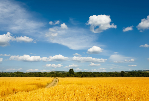 1690286782730068.png image.png