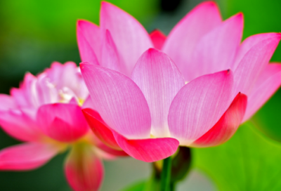 ​一眼就吸引人的网名两个字(精选693个)