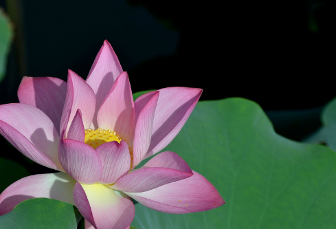 1690288777530568.png image.png