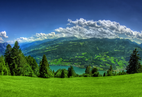 1690288943548740.png image.png