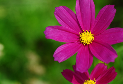 1690289941775751.png image.png