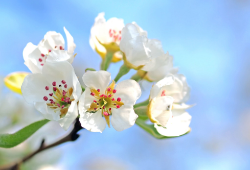 1690290273994389.png image.png