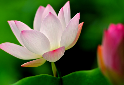 1690290771681738.png image.png