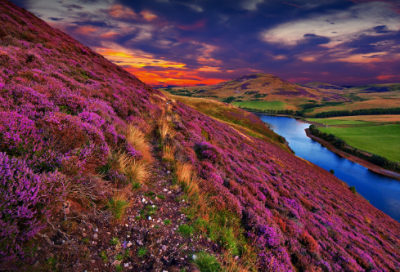 ​游戏个性情侣名字(精选304个)