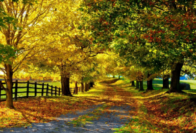 ​一看就非常恩爱的情侣名大全(共310个)