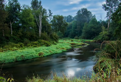 1690561241196461.png image.png