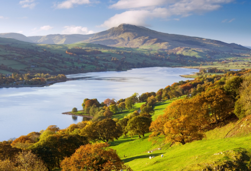 1690562239151388.png image.png