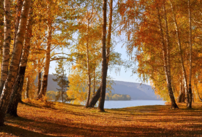 ​有内涵的情侣网名(精选263个)