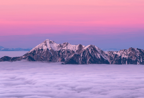 1690567233144273.png image.png