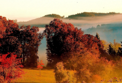 ​很甜很恩爱的情侣网名大全 非常甜又恩爱的情侣网名