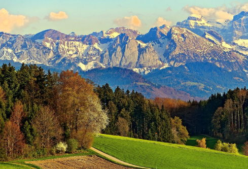 1690568564203821.png image.png