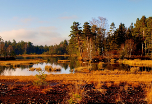 1690569230716528.png image.png