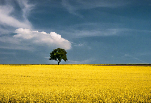 1690569896479775.png image.png