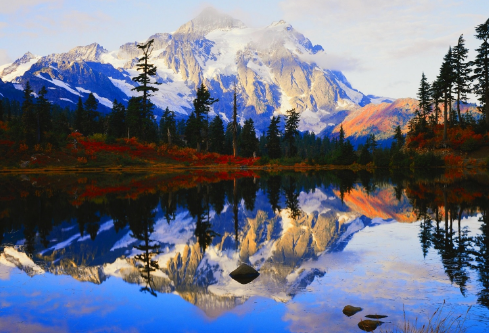 1690570063160187.png image.png