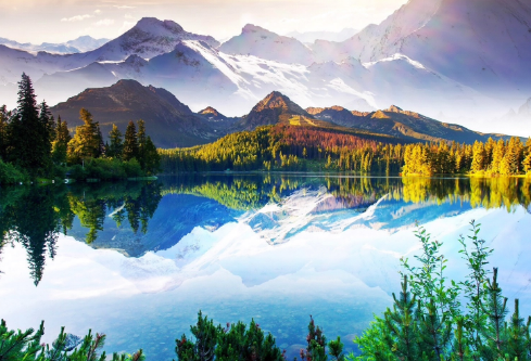 1690570229969034.png image.png