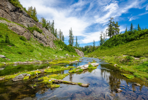 1690570395706164.png image.png