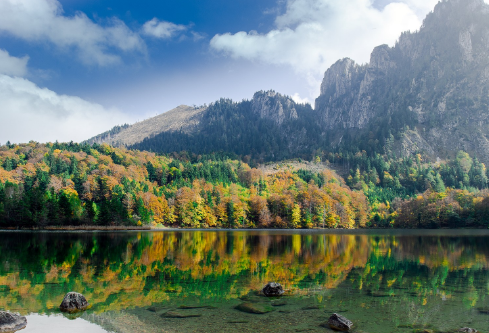 1690571227624517.png image.png