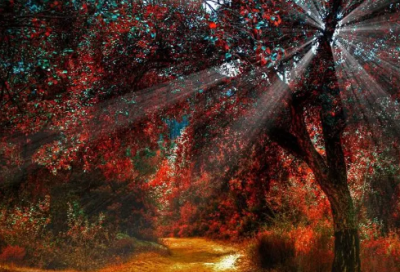 ​又欲又撩的情侣网名大全(精选259个)