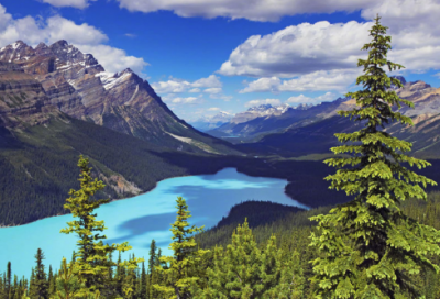 ​王者荣耀简洁情侣名字一对(共285个)