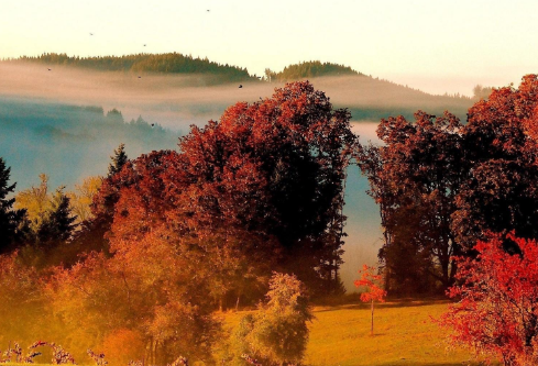 1690574057834690.png image.png