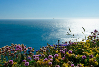 ​cf文艺的情侣网名(共258个)