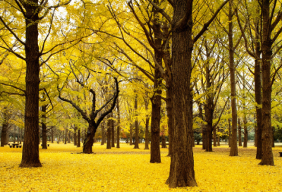 ​天龙八部情侣网名大全(精选233个)