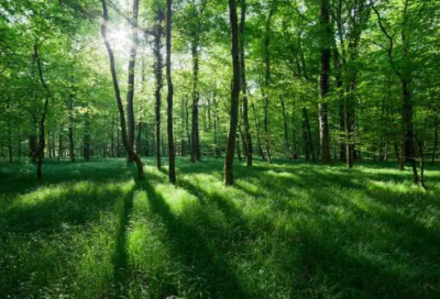 ​抖音超火的情侣名四个字(优选245个)