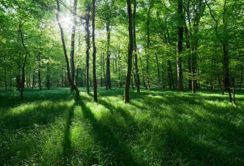 1690580230613884.png image.png