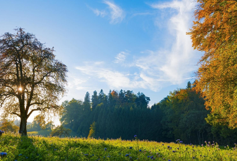 1690580396850919.png image.png