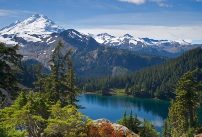 ​王者荣耀稀有的情侣名字(256个)