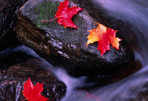 1690581894174500.png image.png