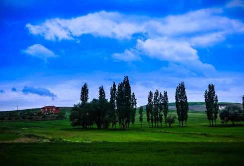 1690582227438107.png image.png