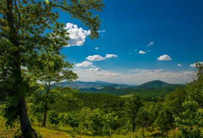 ​受欢迎的情侣网名大全(精选212个)