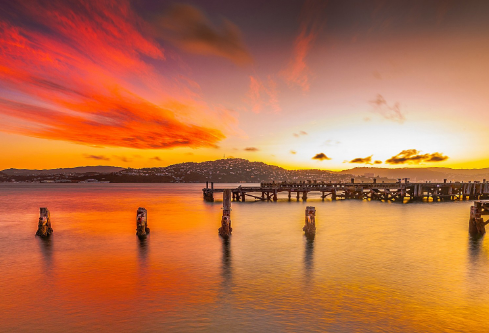 1690582560323029.png image.png