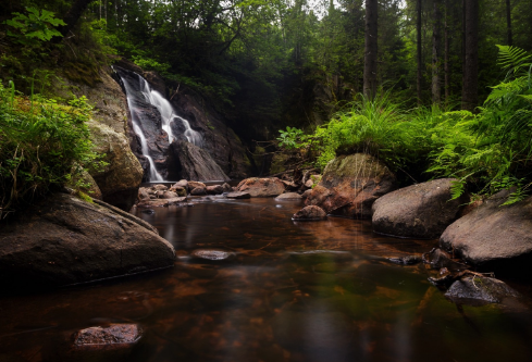 1690582727514716.png image.png